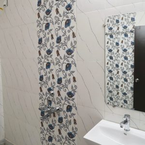 Bathroom sink and shower