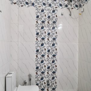 Bathroom with Geyser